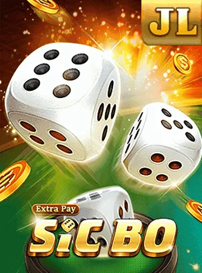 dg333